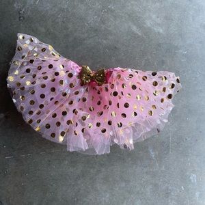 Tutu with garlen for birthday